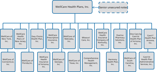 Wellcare Org Chart