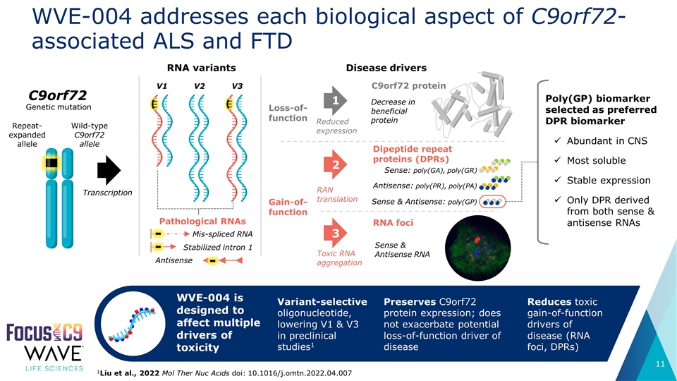 Slide 11