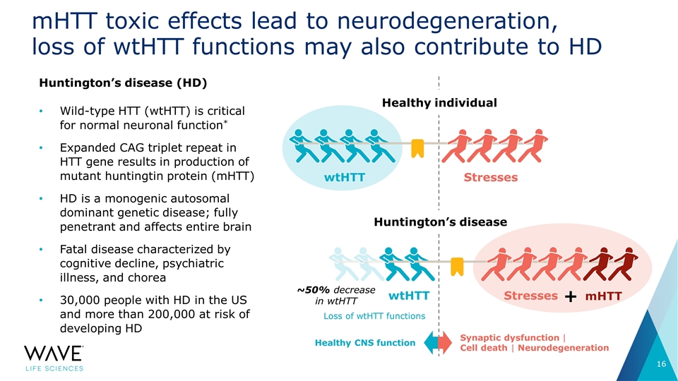 Slide 16