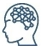 software.jpg