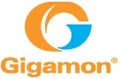 Gigamon LLC