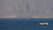 FILE PHOTO: Ships and tankers in the Strait of Hormuz off the coast of Musandam, Oman, April 18, 2026. REUTERS/Stringer/File Photo