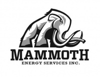 Mammoth energy ipo fact fiction and value investing forum